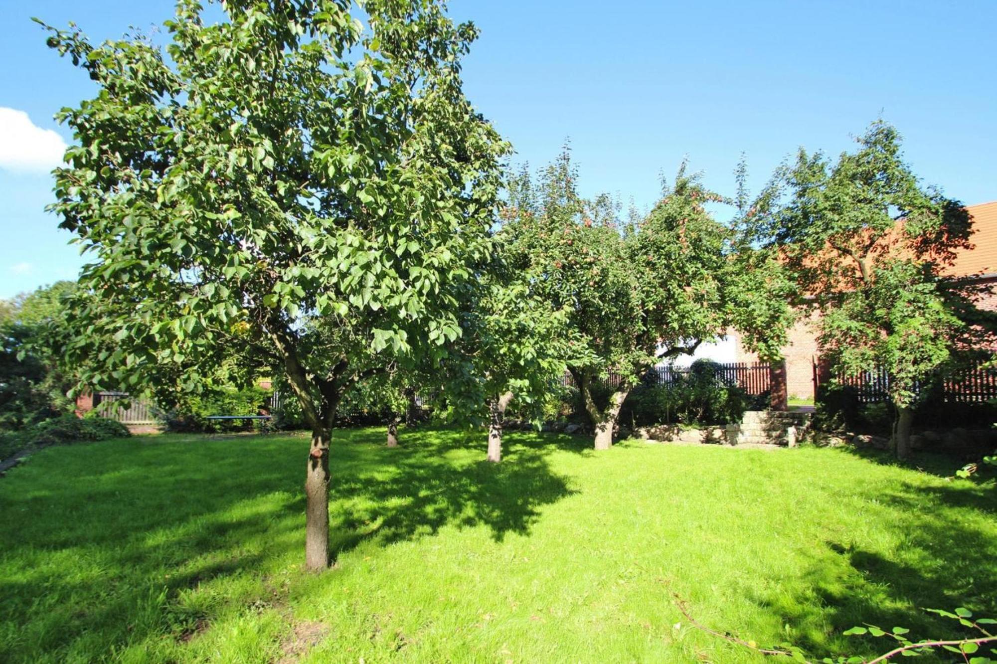 Ferienhaus Rosenhof In Lenzen Exterior foto